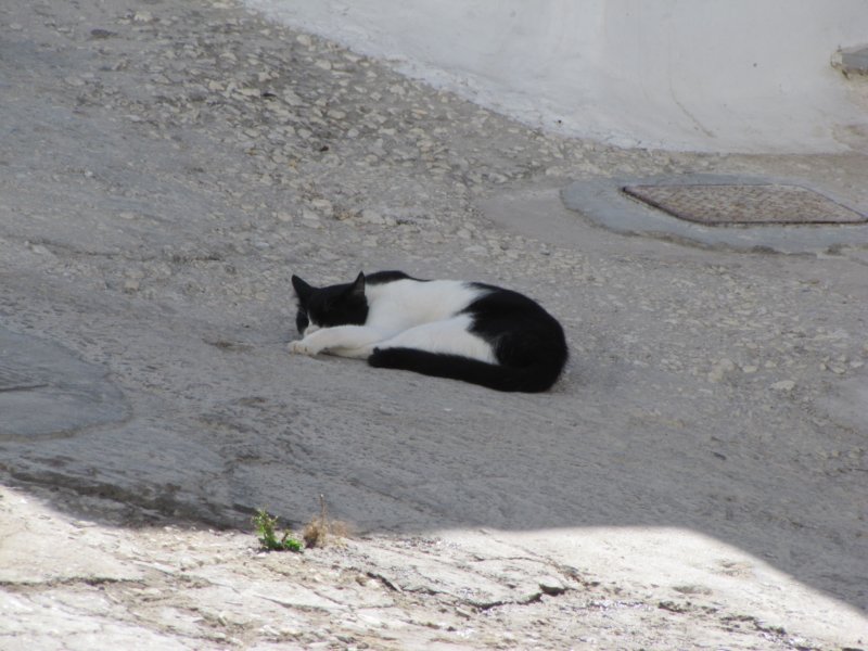 sep2011parosnaousa71.jpg