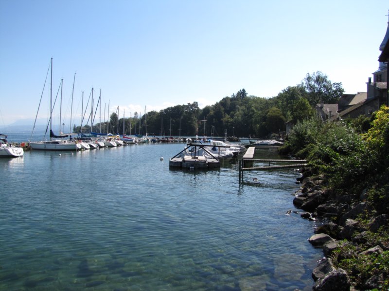 img_8460.jpg