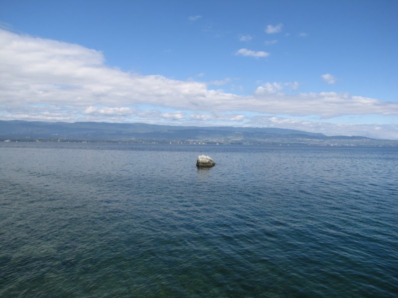 img_8462.jpg