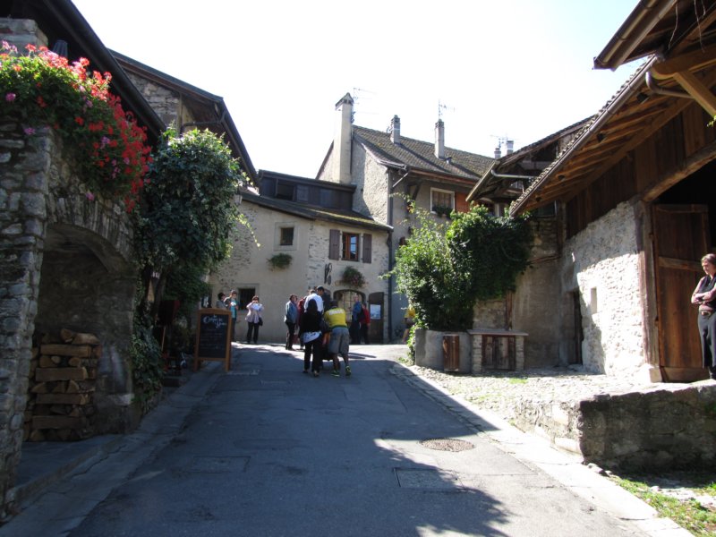 img_8467.jpg