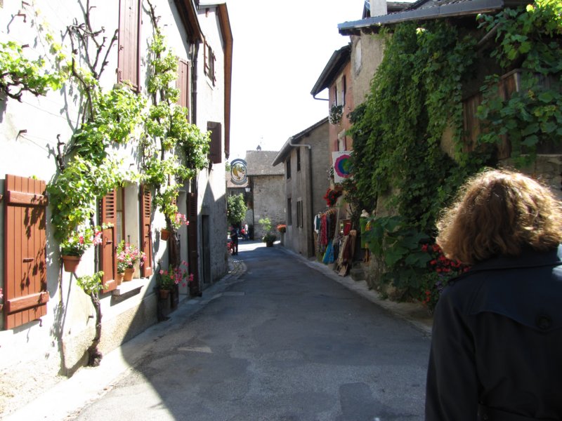 img_8477.jpg