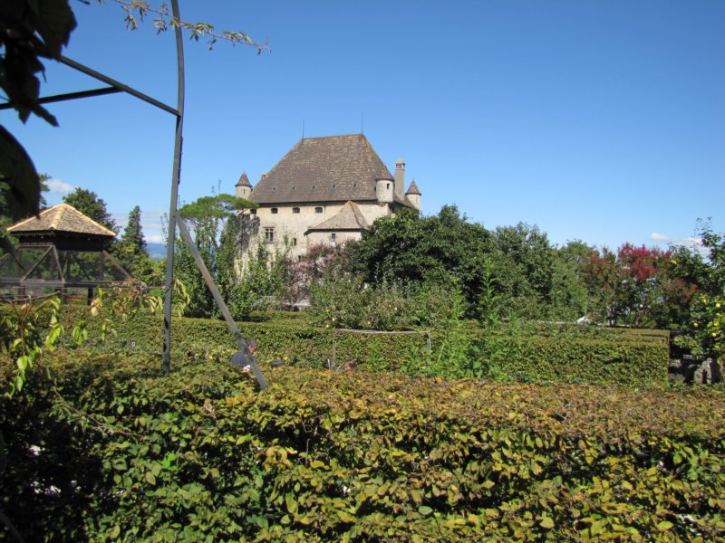 img_8492.jpg
