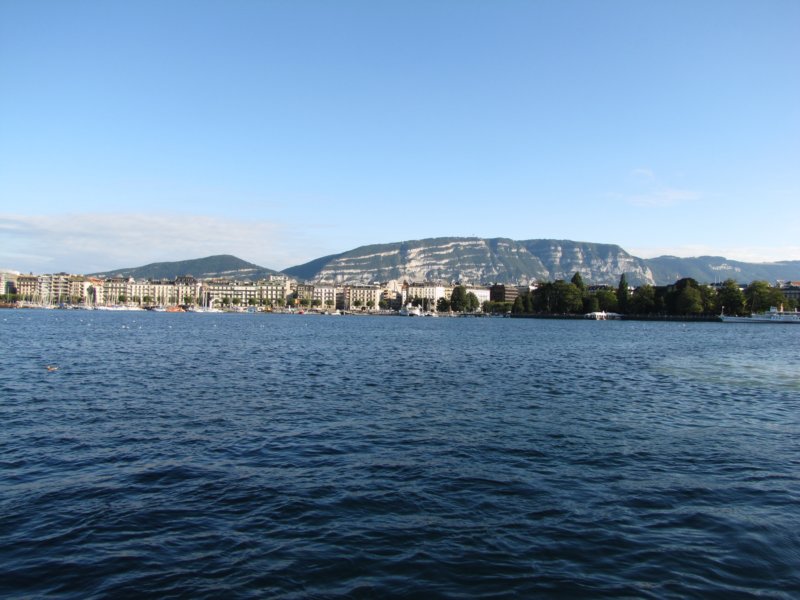 img_8513.jpg