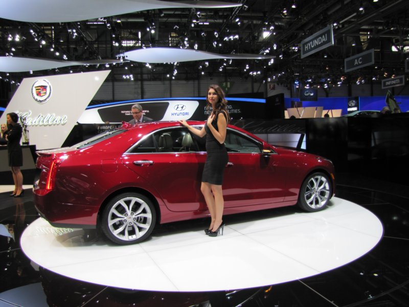 cadillacats41.jpg
