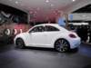 vwbeetle43_small.jpg