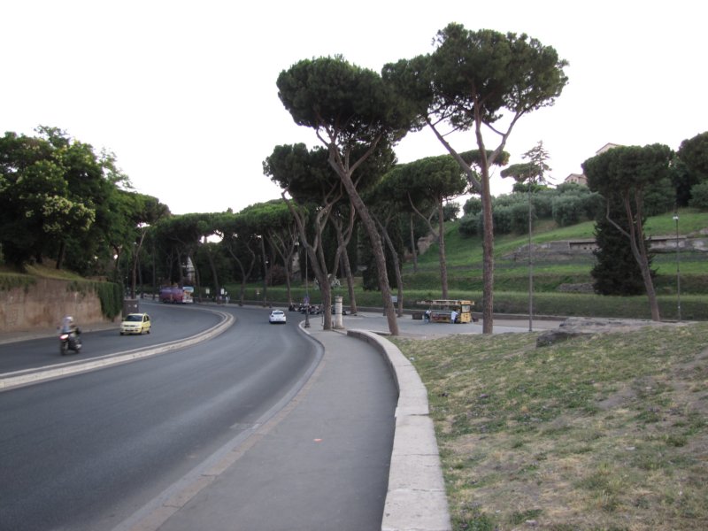 jul2013321.jpg