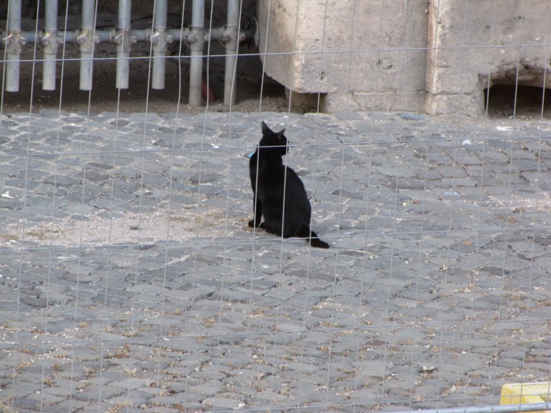 jul2013341.jpg