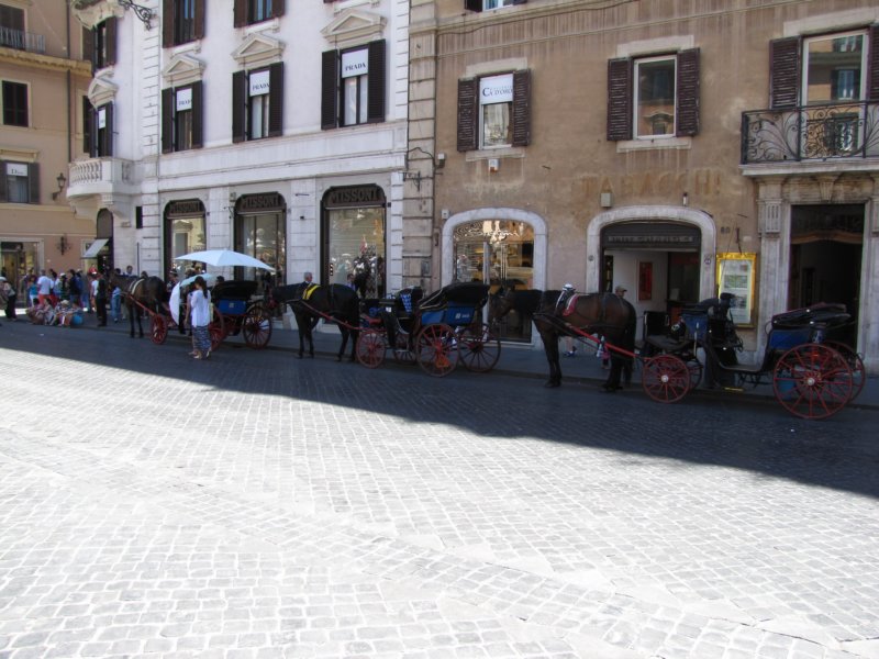 jul2013568.jpg