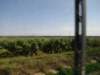jul2013857_small.jpg