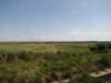 jul2013858_small.jpg