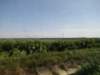 jul2013859_small.jpg