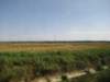 jul2013862_small.jpg