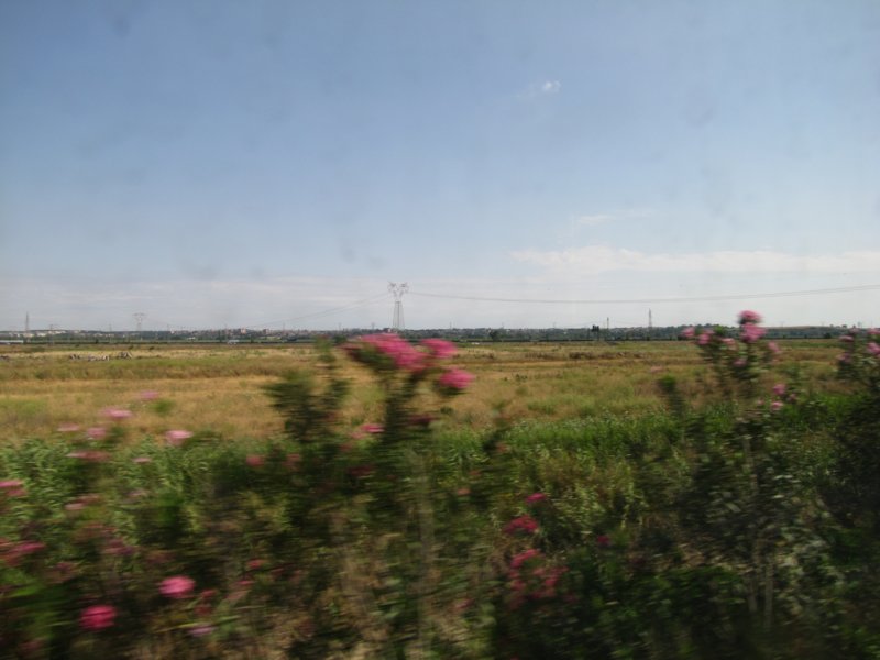 jul2013863.jpg
