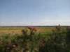 jul2013863_small.jpg