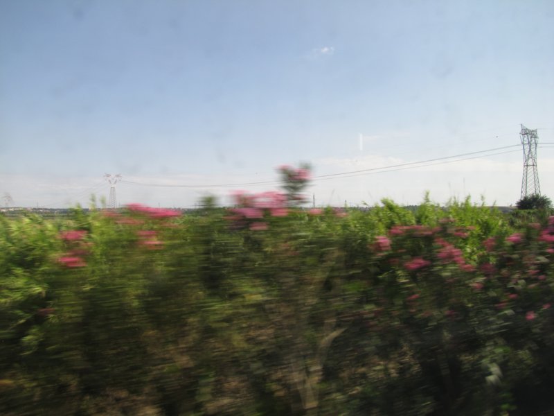 jul2013866.jpg