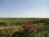jul2013868_small.jpg