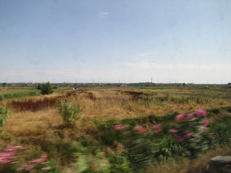jul2013872.jpg