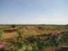 jul2013872_small.jpg