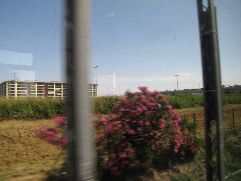 jul2013920.jpg