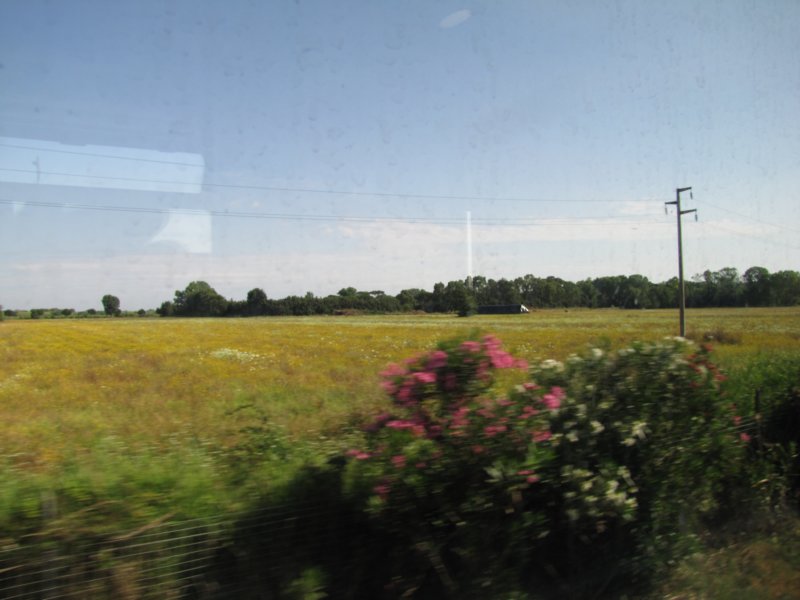 jul2013960.jpg