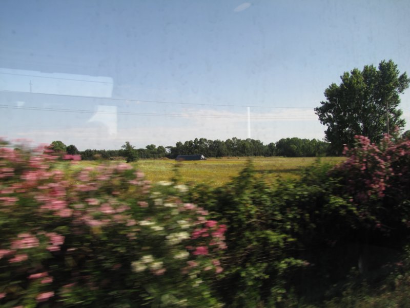 jul2013963.jpg