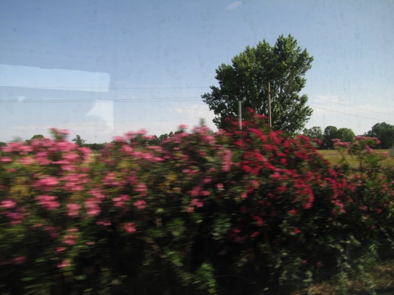 jul2013964.jpg