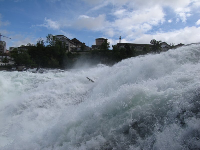 rheinfallschaffhausen81.jpg
