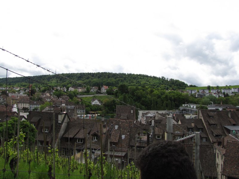 schaffhausen55.jpg