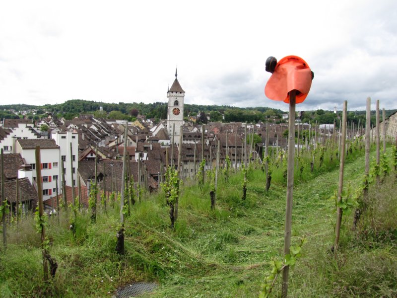 schaffhausen56.jpg