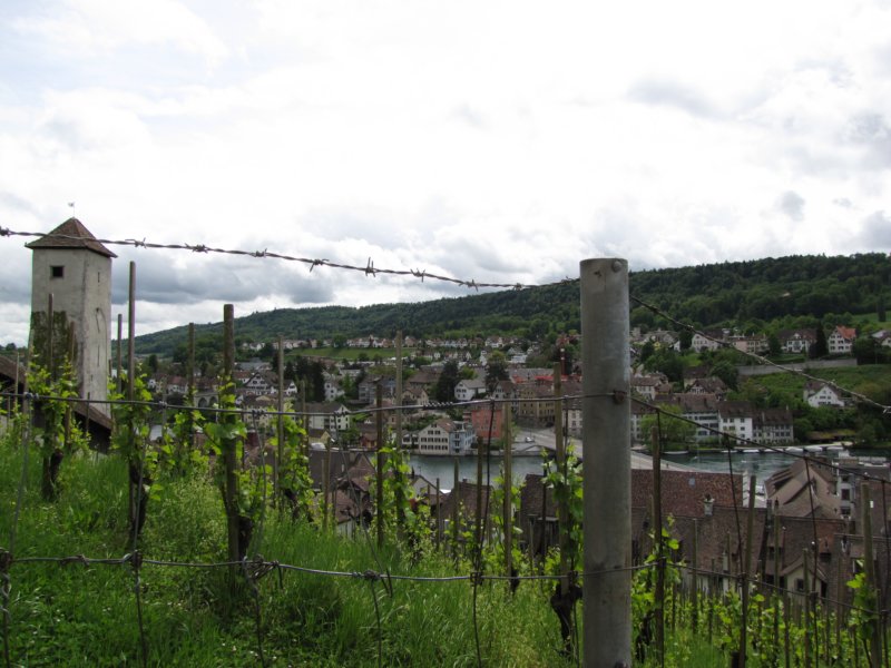 schaffhausen61.jpg