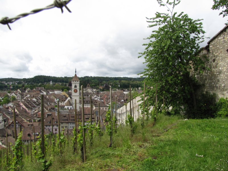 schaffhausen63.jpg