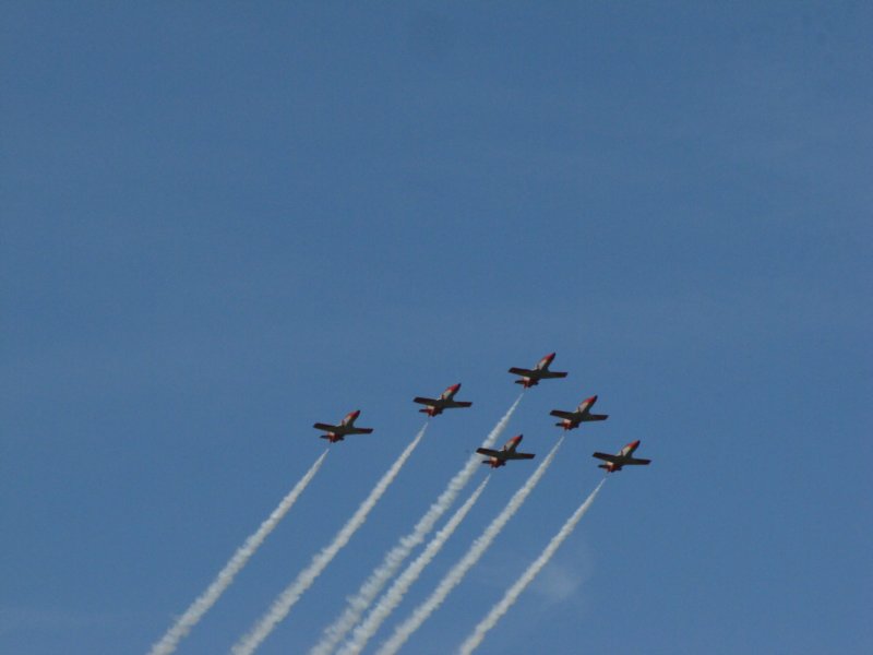 img_8146.jpg