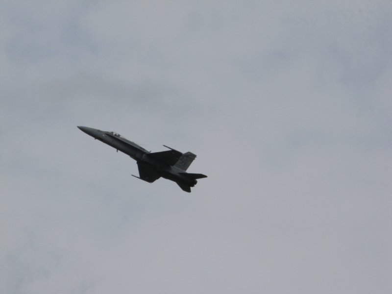 img_8463.jpg