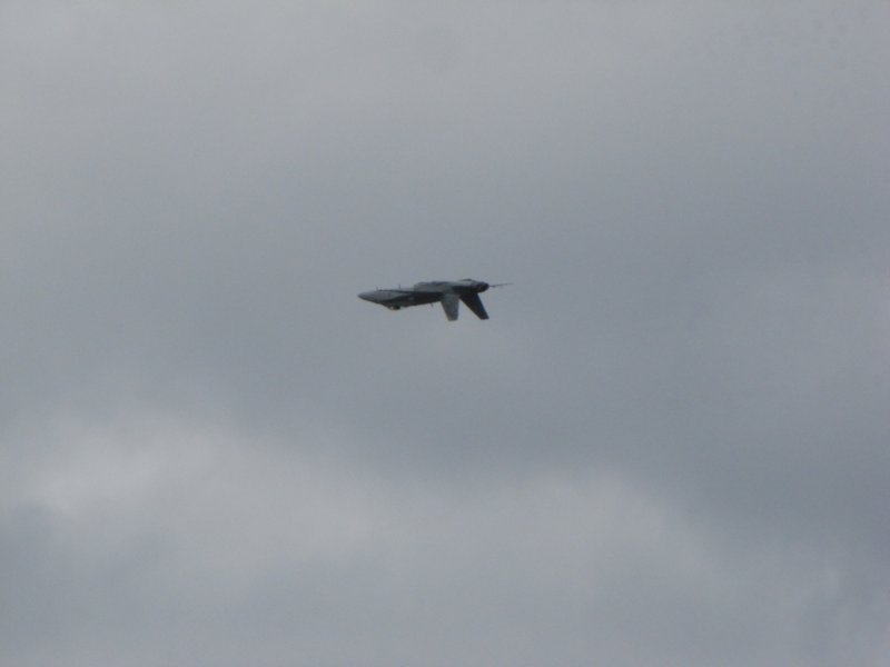 img_8483.jpg