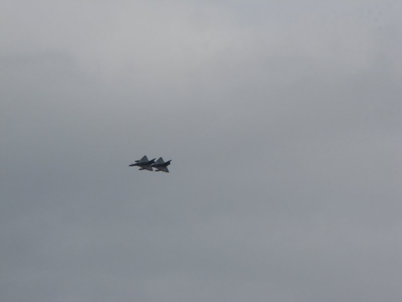 img_8503.jpg