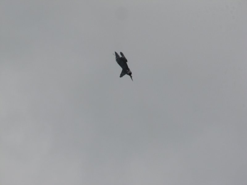 img_8560.jpg