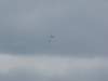 img_8561_small.jpg