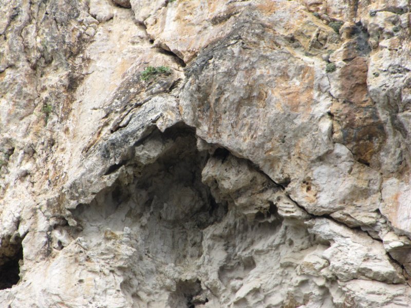 sep2014corfu107.jpg