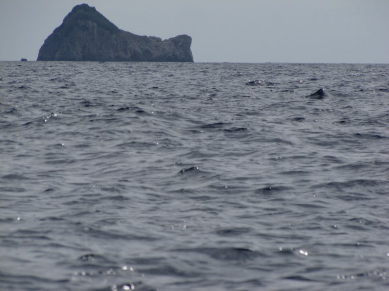 sep2014corfu121.jpg