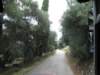 sep2014corfu392_small.jpg