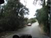 sep2014corfu399_small.jpg