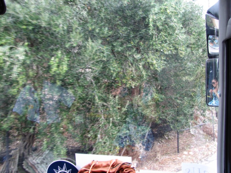 sep2014corfu416.jpg