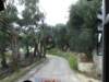 sep2014corfu423_small.jpg