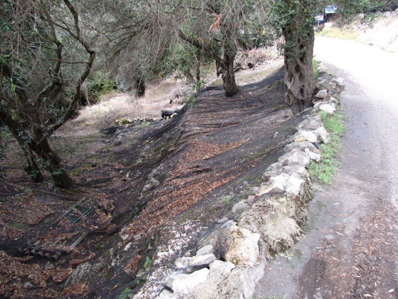 sep2014corfu561.jpg