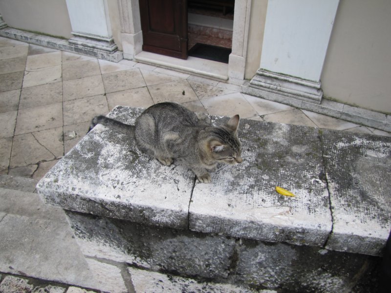 sep2014dubrovnik144.jpg