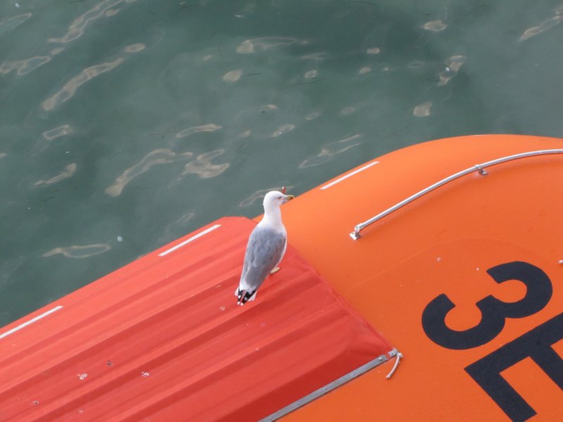 sep2014venice500.jpg