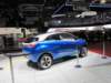 tatanexon4_small.jpg