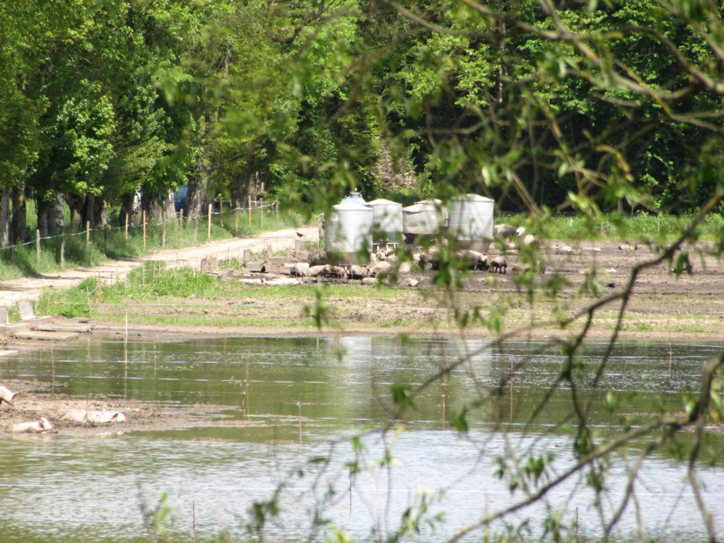 img_6955.jpg