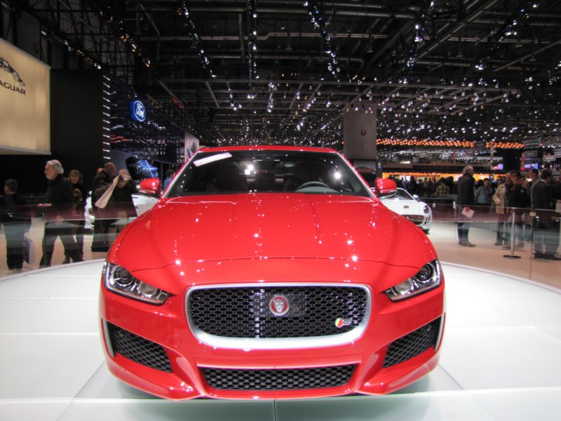 jaguarxes5.jpg