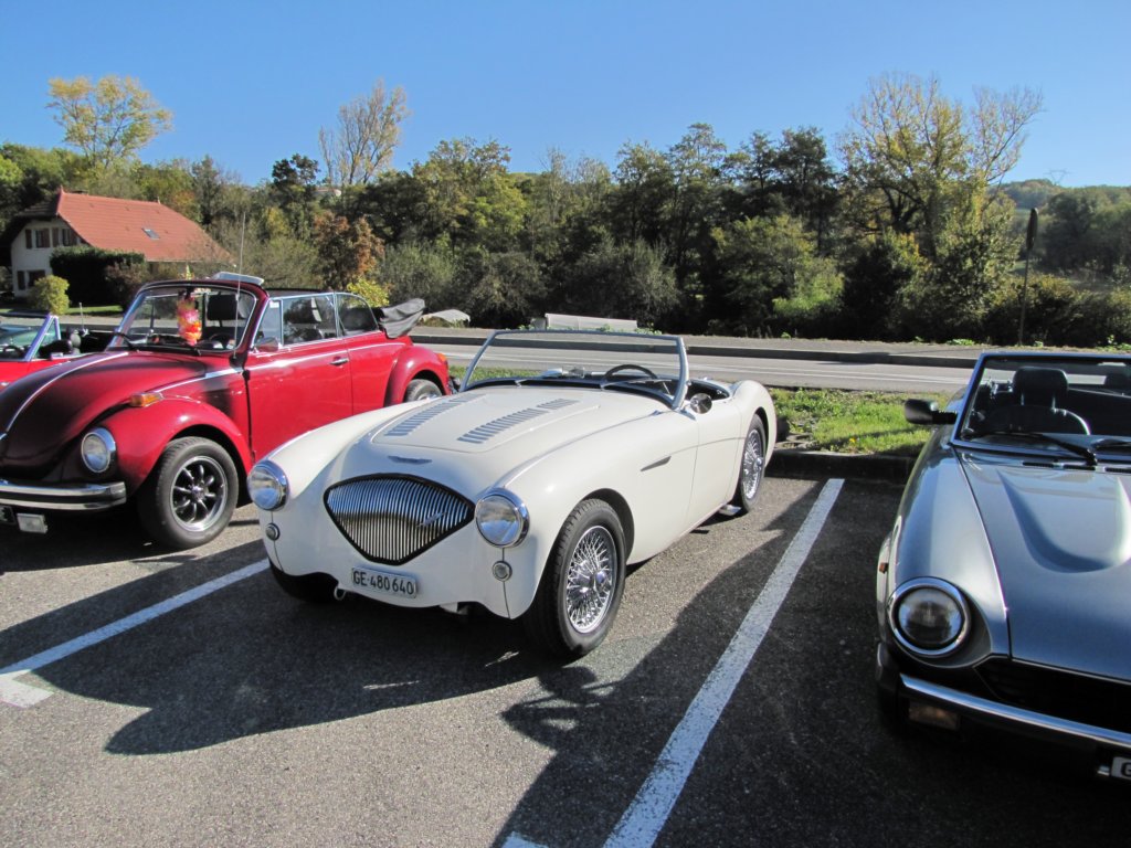 austinhealey1002.jpg